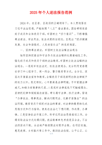 2025年个人述法报告范例