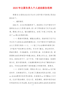 2025年主要负责人个人述法报告范例