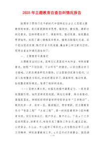 2025年主题教育自查自纠情况报告