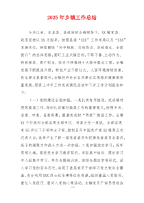 2025年乡镇工作总结