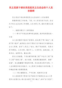 民主党派干部在局党组民主生活会的个人发言提纲