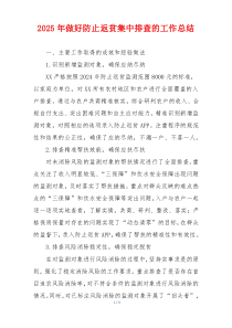 2025年做好防止返贫集中排查的工作总结