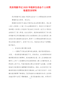 民宗局副书记2025年组织生活会个人对照检查发言材料