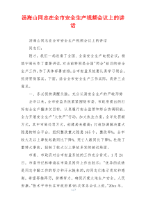 汤海山同志在全市安全生产视频会议上的讲话