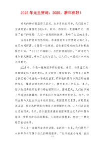 2025年元旦贺词：2025，新年你好！