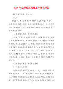 2025年党书记抓党建工作述职报告