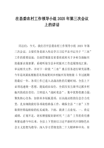 在县委农村工作领导小组2025年第三次会议上的讲话