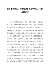 在县委常委班子巡视整改专题民主生活会上的总结讲话