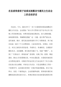 在县委常委班子省委巡视整改专题民主生活会上的总结讲话