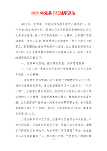 2025年党委书记述职报告