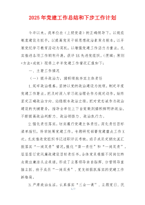 2025年党建工作总结和下步工作计划