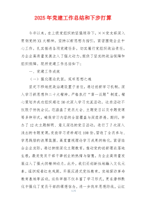 2025年党建工作总结和下步打算