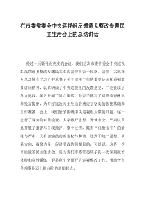 在市委常委会中央巡视组反馈意见整改专题民主生活会上的总结讲话