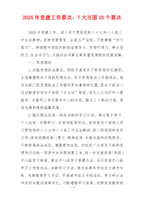 2025年党建工作要点：7大方面20个要点
