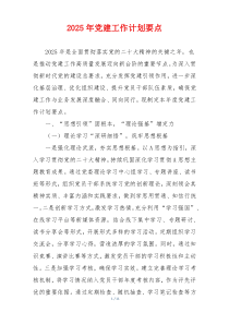 2025年党建工作计划要点