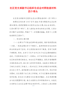 社区党支部副书记组织生活会对照检查材料四个带头