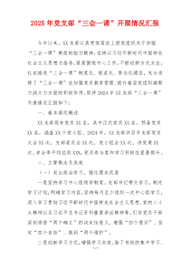 2025年党支部“三会一课”开展情况汇报