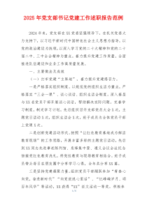 2025年党支部书记党建工作述职报告范例