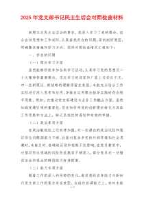 2025年党支部书记民主生活会对照检查材料