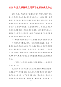 2025年党支部班子党纪学习教育收获及体会