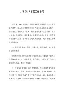 大学2025年度工作总结