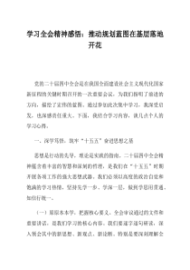 学习全会精神感悟推动规划蓝图在基层落地开花