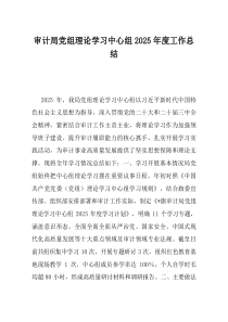 审计局党组理论学习中心组2025年度工作总结