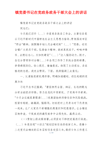 镇党委书记在党政务政务干部大会上的讲话