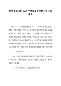 局党支部书记2025年度抓基层党建工作述职报告