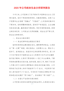 2025年公司政治生态分析研判报告