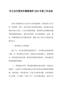 市公安交管局车辆管理所2025年度工作总结