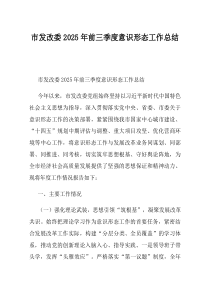 市发改委2025年前三季度意识形态工作总结