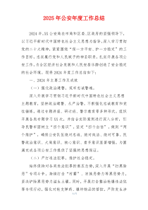 2025年公安年度工作总结