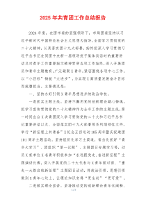 2025年共青团工作总结报告