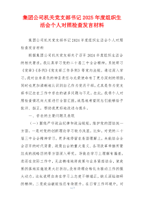 集团公司机关党支部书记2025年度组织生活会个人对照检查发言材料