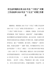 市生态环境局分局2025年及十四五时期工作总结和2026年及十五五时期工作要点