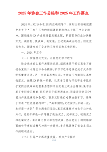 2025年协会工作总结和2025年工作要点