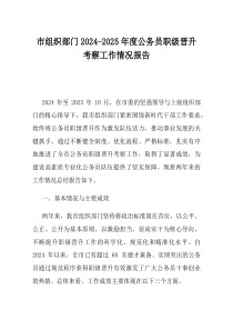 市组织部门20242025年度公务员职级晋升考察工作情况报告