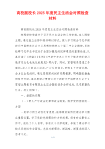 高校副校长2025年度民主生活会对照检查材料