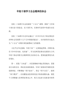 年轻干部学习全会精神的体会