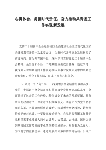 心得体会勇担时代责任奋力推动共青团工作实现新发展