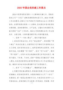 2025年国企党的建工作要点