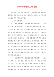 2025年城管局工作总结