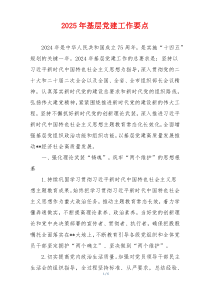 2025年基层党建工作要点