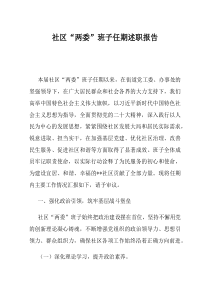 社区两委班子任期述职报告