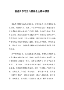税务局学习宣传贯彻全会精神感悟