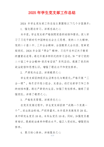 2025年学生党支部工作总结