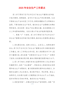 2025年安全生产工作要点