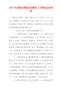 2025年巡察反馈意见的整改工作情况总结范例