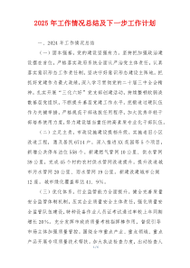 2025年工作情况总结及下一步工作计划